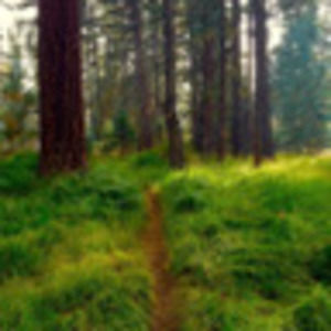 Meet your Posher, Tami